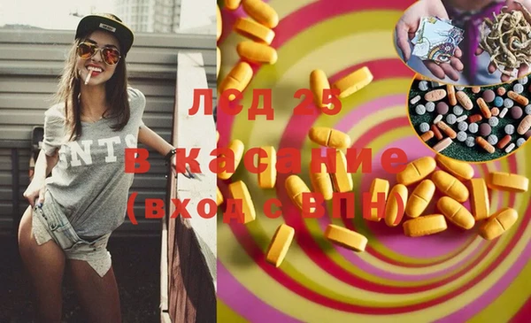 прущие грибы Алексеевка