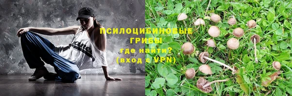 прущие грибы Алексеевка