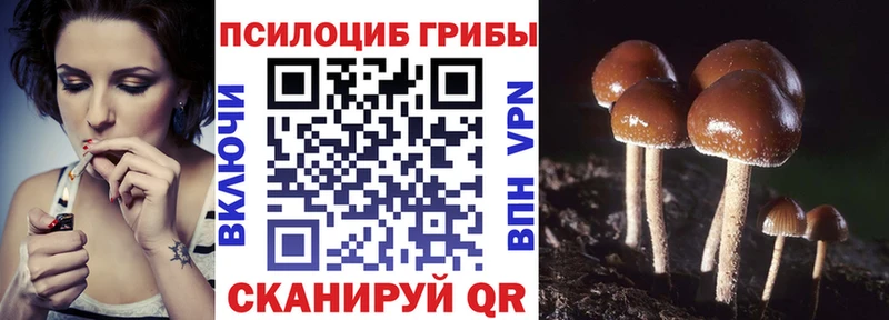 Галлюциногенные грибы GOLDEN TEACHER  ОМГ ОМГ ONION  Долинск  площадка клад  закладки 
